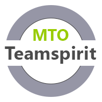 Teamtraining Teamspirit MTO-Consulting
